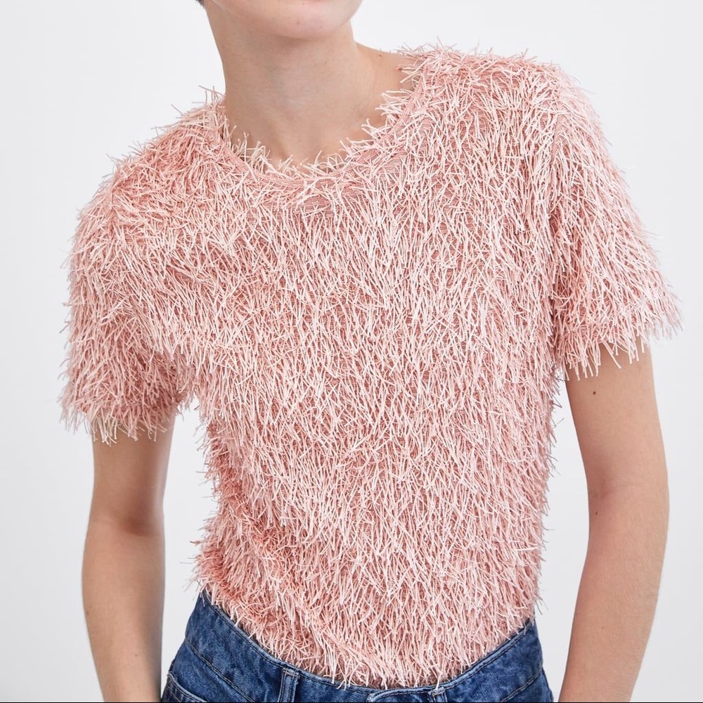 ⭐️ NWT Zara Fringe Top in Pink⭐️